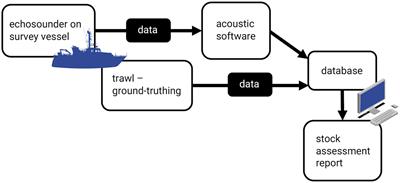 The Potential to Improve the Sustainability of Pelagic Fisheries in the Northeast Atlantic by Incorporating Individual Fish Behavior Into Acoustic Sampling